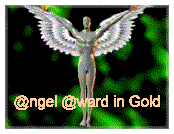 Klaus Gold Angel Award 174x134