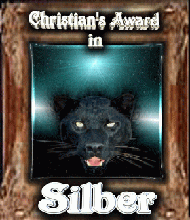 Christian's Award in Silber