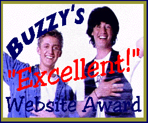 Buzzy's Excellent Website Award 300x250