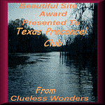 Clueless Wonders Beautiful Site Award