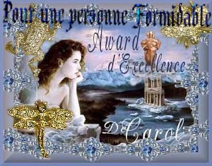 Pour une personnne Formidable Award d'Excellence de Carol 300x235