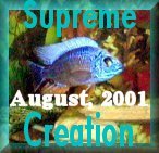 EternitE Supreme Creation Award