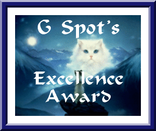 G Spot's Excellence Award 310x260