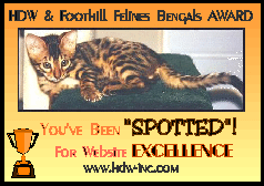 HDW's You've Been Spotted For Website Excellence Award 238x168