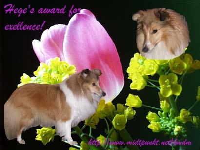 Hege's Hjemmeside Award of Excellence