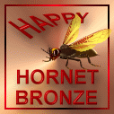 Happy Hornet Bronze Award