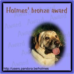 Holmes Bronze Award