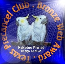 Kaketoe Planet Bronze Web Award