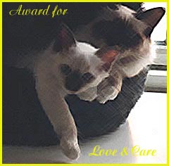 Missing Link Award for Love & Care 240x236