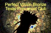 Perfect Vision Bronze Award 197x129
