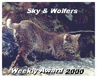 Sky & Wolfers Weekly Award
