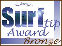 The BorisSite Surftip Bronze Award