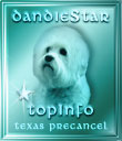 DandieStar TopInfo Award One Star