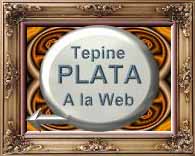 Microlapalma Tepine Plata A la Web Award