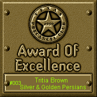TPC Excellence Award Serial 003