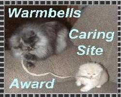 Warmbells Caring Site Award